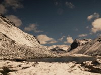 CH, Graubuenden, Zernez, Susasca Fluelapass 6, Saxifraga-Bas Klaver